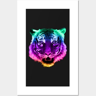 Rainbow Tiger Posters and Art